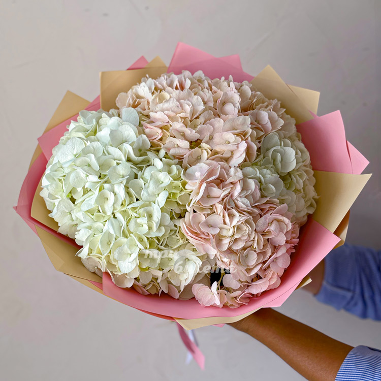 Розовый букет из 5 гортензий (вид сверху)